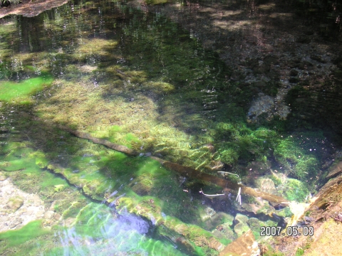 s_PICT0100.jpg